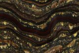 Polished Tiger Iron Stromatolite Slab - Billion Years #351804-1